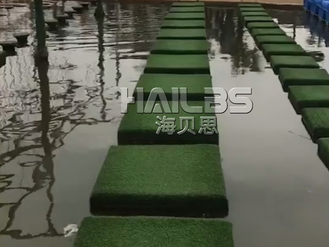 水上拓展項目